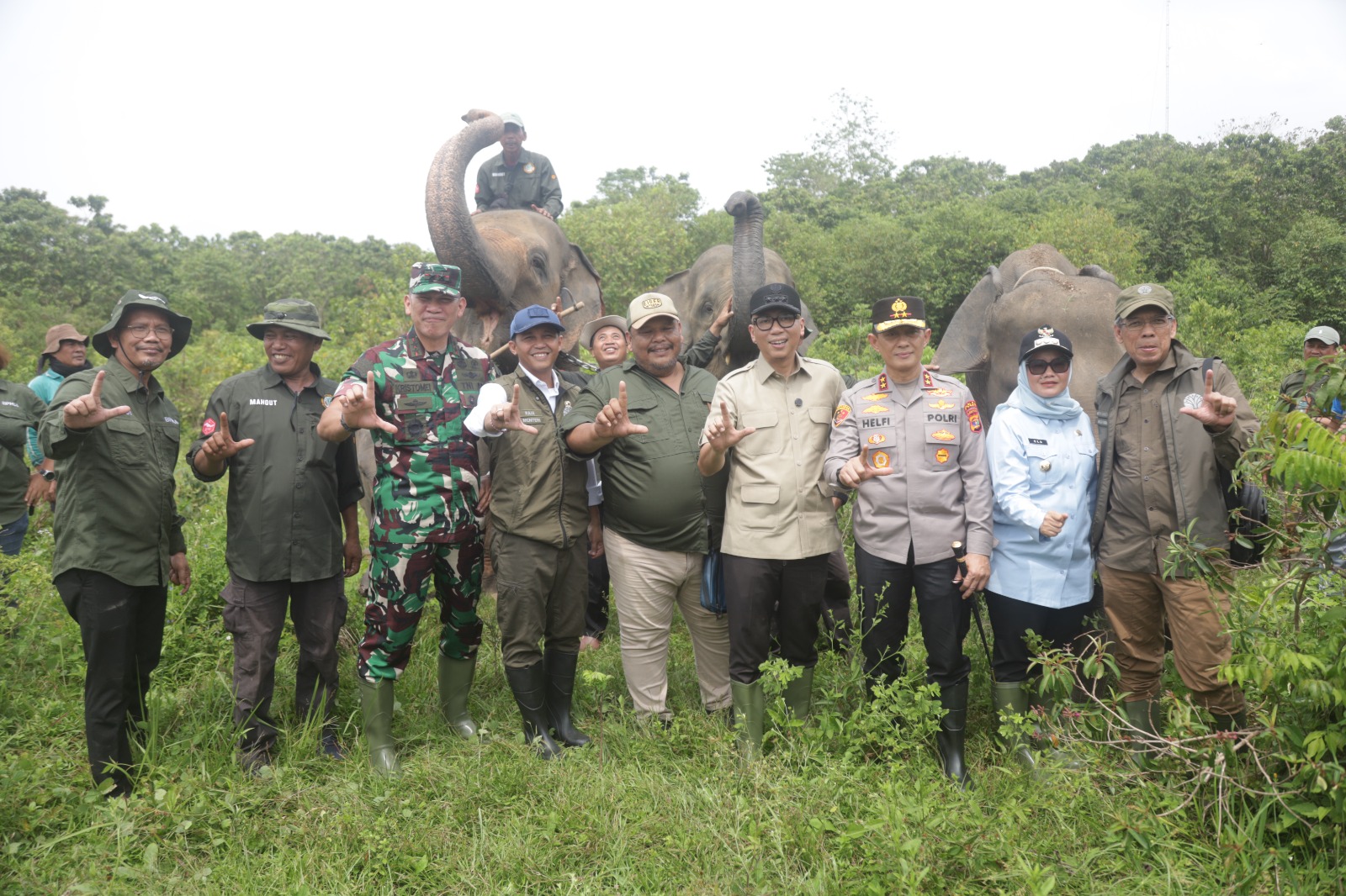 Way Kambas Dipagari 138 Km, Pemerintah Targetkan Konflik Gajah dan Warga Berakhir