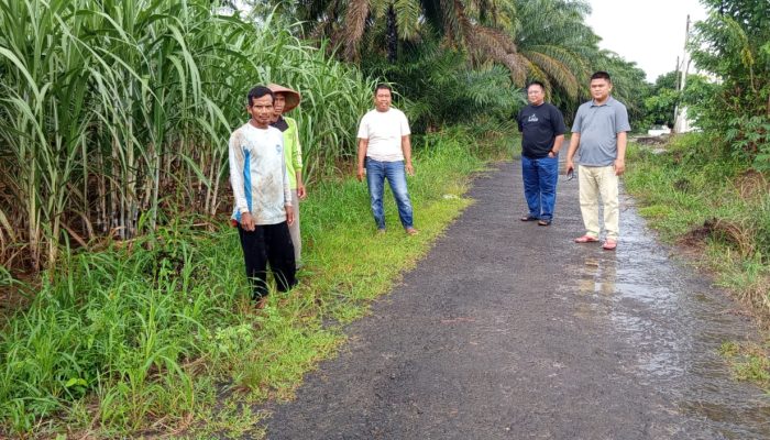 Dukung Program Swasembada Pangan, Lampura Target Panen Tebu 2.700 Ha