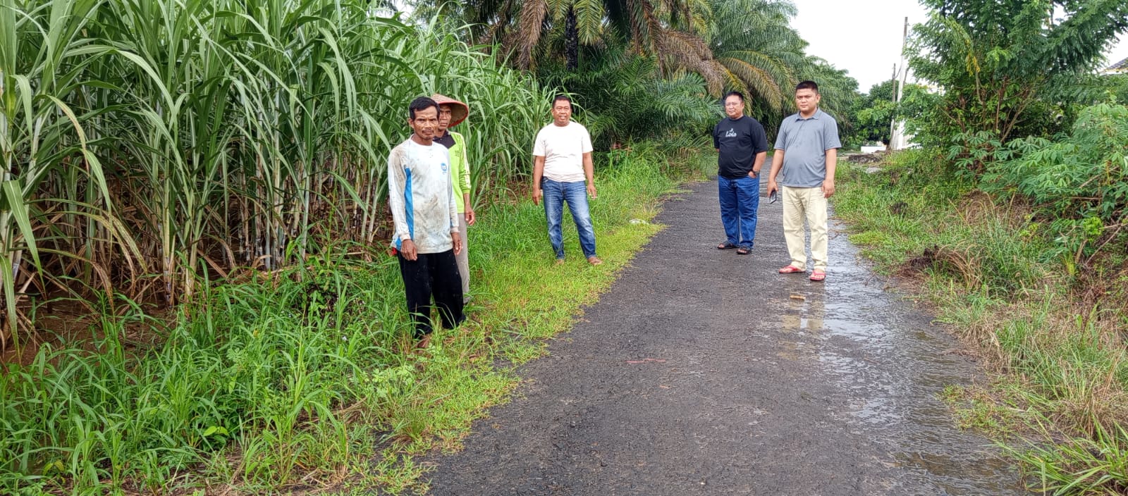 Dukung Program Swasembada Pangan, Lampura Target Panen Tebu 2.700 Ha