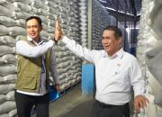 Stok Beras BULOG Tembus 5 Juta Ton, Tertinggi Sepanjang Sejarah