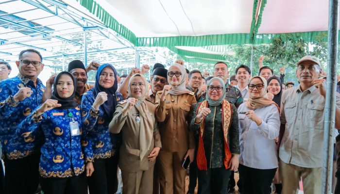 Dorongan Pemerintah Menguat, Alpukat Siger Lampung Timur Dibidik ke Pasar Ekspor