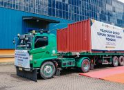 Ekspor 3.330 Ton Tapioka ke Tiongkok, Lampung Perkuat Arah Hilirisasi Singkong