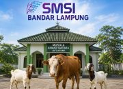 Tebar Kepedulian di Hari Raya, SMSI Bandar Lampung Salurkan Hewan Kurban untuk Masyarakat