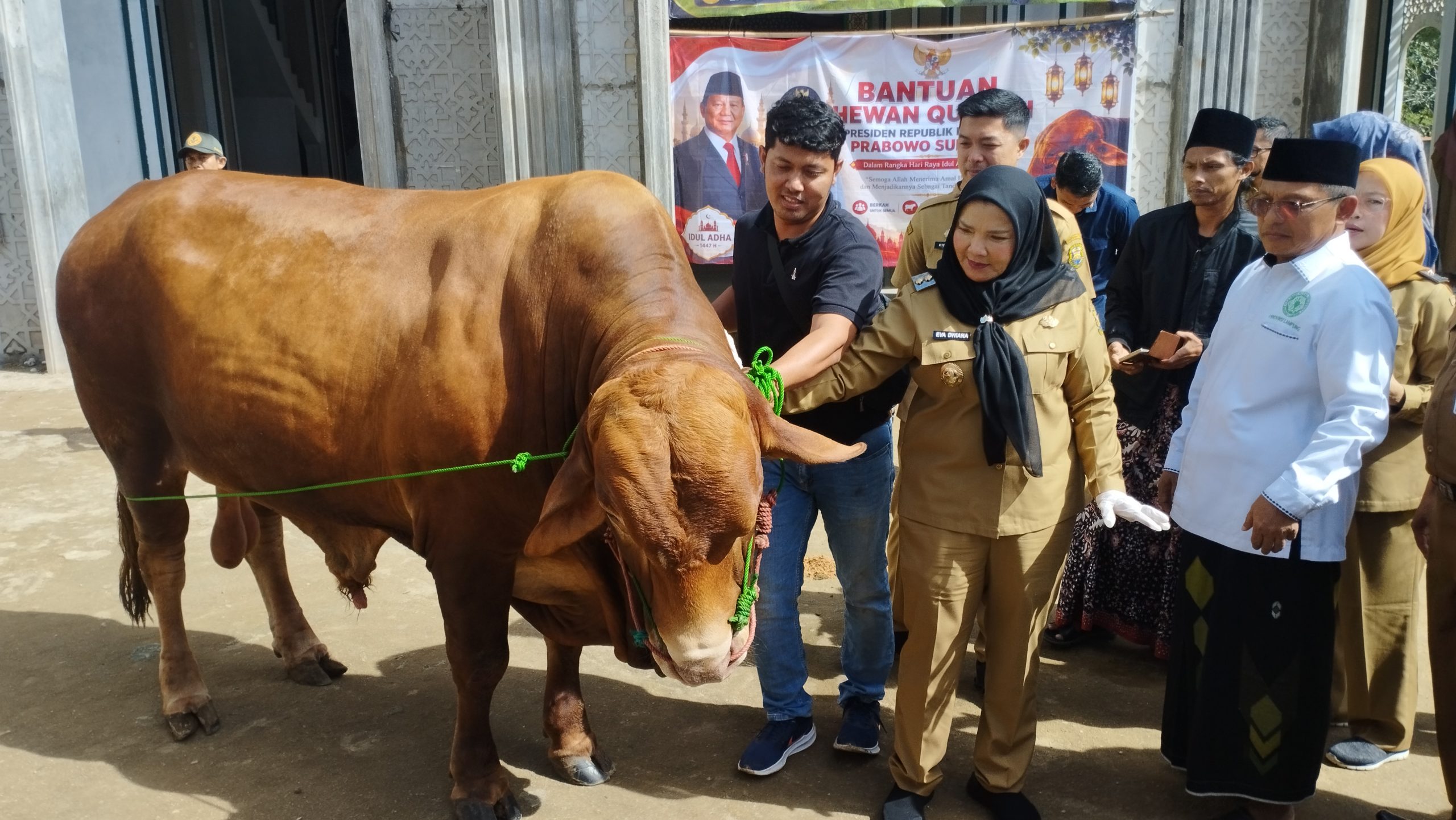 Wali Kota Eva Dwiana Apresiasi Bantuan Sapi Kurban Presiden untuk Ponpes Madarijul Ulum