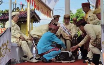Di Tengah Safari Politik, Jokowi Terima Gelar Adat Lampung “Baginda Pemuka Bangsa”