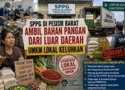 SPPG Pesisir Barat Disorot, UMKM Lokal Keluhkan Pemasok Luar Daerah