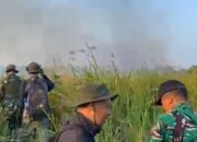 Karhutla Way Kambas Capai 673 Hektare, TNI Kerahkan Pasukan