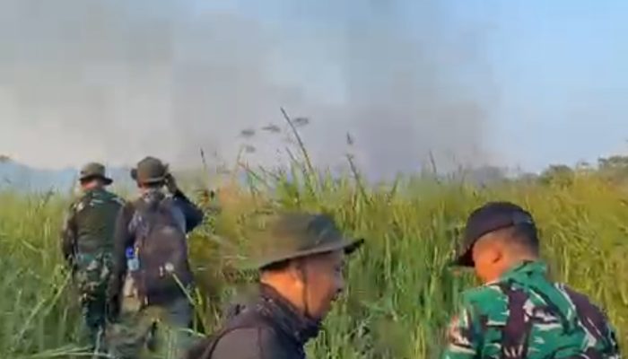 Karhutla Way Kambas Capai 673 Hektare, TNI Kerahkan Pasukan