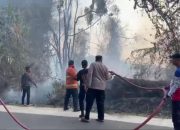 3 Hektare Hutan TNBBS di Pesisir Barat Terbakar