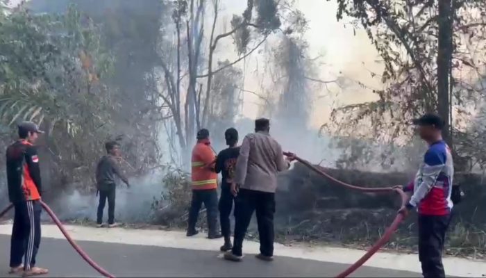 3 Hektare Hutan TNBBS di Pesisir Barat Terbakar