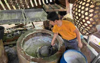 Program MBG Tak Serap Tahu Tempe Lokal, Pengrajin Pesisir Barat Tertekan