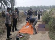 Polisi Selidiki Penemuan Jenazah Perempuan di Mesuji