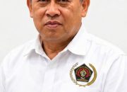 Jon Heri, Pemberhentian Firdaus Pelanggaran HAM dan Ancaman Demokrasi