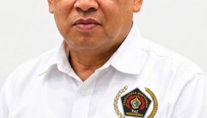 Jon Heri, Pemberhentian Firdaus Pelanggaran HAM dan Ancaman Demokrasi